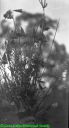Filename=14-b-Untitled-28.jpg
Filesize=60KiB
Dimensions=559x1024
Date added=Nov 18, 2011 14-b-Untitled-28.jpg