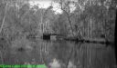 Filename=19-c-Untitled-10.jpg
Filesize=85KiB
Dimensions=1024x602
Date added=Nov 18, 2011 19-c-Untitled-10.jpg